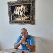  ,   Arif, 52 ,   ,   , c 