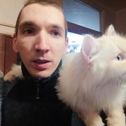 ���������� �����, ���� ������� �������, 37 ���, ������������ 