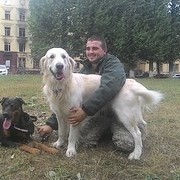  ,   , 36 ,  
