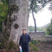 ���������� ����, ���� ������� SAMiLi, 44 ����, ������������ ��� ������, ����� � ���������, c�������� ���������