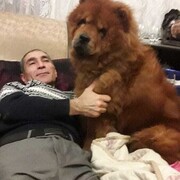 ���������� ������, ���� ������� �����, 45 ���, ������������ ��� ������, ����� � ���������