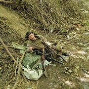 ���������� ����, ���� ������� ����, 50 ���, ������������ ��� c�������� ���������