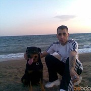  ,   Mesut, 43 ,   ,   , c 