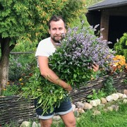 ���������� ������, ���� ������� ������, 38 ���, ������������ ��� ������, ����� � ���������, c�������� ���������