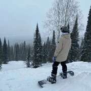 ���������� ������, ���� ������� �������, 27 ���, ������������ ��� ������, ����� � ���������