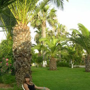 ���������� ������, ���� ������� Angel, 32 ����, ������������ ��� ������, ����� � ���������, c�������� ���������