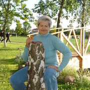  ,   , 65 ,   
