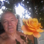 ,   , 72 ,   ,   , c 