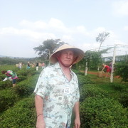  ,   Viktor, 67 ,   ,   , c 