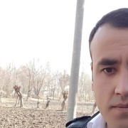 ���������� ������, ���� ������� ������, 36 ���, ������������ ��� ������, ����� � ���������, c�������� ���������