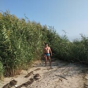 ,   , 45 ,   ,   