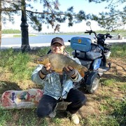 ���������� ������, ���� ������� �����, 49 ���, ������������ ��� ������, ����� � ���������, ���������