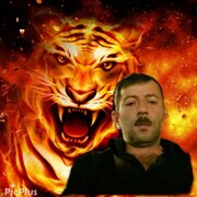 ���������� �������, ���� ������� E����, 48 ���, ������������ ��� ������, c�������� ���������