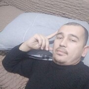  ,   Fedon, 33 ,   ,   