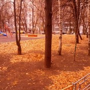  ,   , 46 ,  