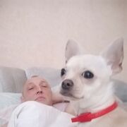 ���������� ������, ���� ������� ����, 55 ���, ������������ ��� ������, ����� � ���������