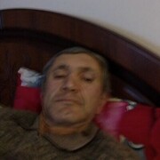 ���������� ���������, ���� ������� �����, 49 ���, ������������ ��� ������, ����� � ���������, ���������