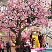 ���������� ������, ���� ������� ��������, 33 ����, ������������ ��� ������, ����� � ���������, c�������� ���������, ���������