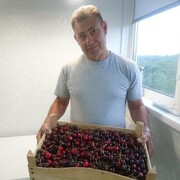  ,  , 50