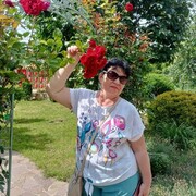 ���������� �����, ���� ������� �����, 65 ���, ������������ ��� ������, ����� � ���������