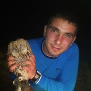 ���������� ������, ���� ������� ����, 36 ���, ������������ ��� ������, ����� � ���������, c�������� ���������