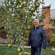 ���������� ���������, ���� ������� ������, 67 ���, ������������ ��� c�������� ���������