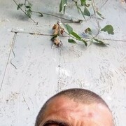 ���������� ��������, ���� ������� ��������, 40 ���, ������������ ��� ����� � ���������, c�������� ���������