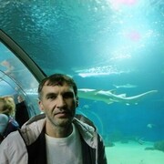 ���������� ������, ���� ������� �������, 47 ���, ������������ ��� ������, ����� � ���������, c�������� ���������