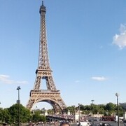 ���������� ���������, ���� ������� �������, 44 ����, ������������ ��� ������, ����� � ���������, c�������� ���������