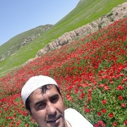 ���������� ������, ���� ������� �����, 40 ���, ������������ ��� ������, ����� � ���������, c�������� ���������