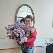 ���������� �������, ���� ������� �������, 58 ���, ������������ ��� ������, ����� � ���������