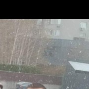  ,  Oleksii, 31