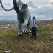 ���������� �����������, ���� ����� ��������, 23 ����, ������������ ��� ����� � ���������, c�������� ���������