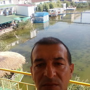  ,   VIKTOR, 50 ,     , c 
