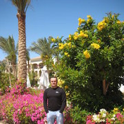  ,   , 49 ,     , c , 