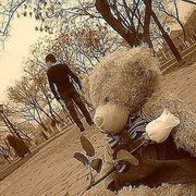 ���������� �������, ���� ������� RomantiK, 31 ���, ������������ ��� ������