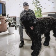 ���������� �������, ���� ������� ������, 31 ���, ������������ ��� ������, ����� � ���������