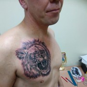 ���������� ���������, ���� ������� ������, 50 ���, ������������ ��� ����� � ���������, c�������� ���������