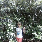 ���������� �����, ���� ������� ����, 50 ���, ������������ ��� ������, ����� � ���������, c�������� ���������