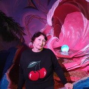 ���������� ������, ���� ������� ������, 63 ����, ������������ ��� c�������� ���������