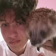 ���������� �����, ���� ����� ����� �����, 21 ���, ������������ ��� ������, ����� � ���������