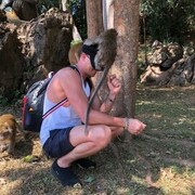 ���������� ������, ���� ������� ��������, 38 ���, ������������ ��� ������, ����� � ���������