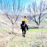 ���������� ���������, ���� ������� ����, 27 ���, ������������ ��� ������, ����� � ���������, c�������� ���������, ���������