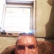  ,   Maxim, 41 ,   ,   , c , 