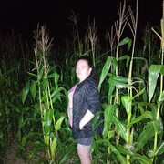 ���������� �������, ���� ������� �������, 35 ���, ������������ ��� c�������� ���������