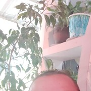  ,   , 46 ,   ,   , c 