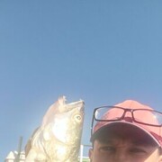  ,   , 38 ,     , c , 