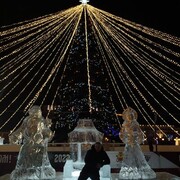 ���������� ����, ���� ������� �������, 36 ���, ������������ ��� ������, ����� � ���������, c�������� ���������