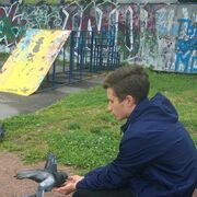 ���������� �����-���������, ���� ������� �������, 26 ���, ������������ ��� ������, ����� � ���������, c�������� ���������, ���������