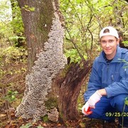 ���������� ���������, ���� ������� �����, 35 ���, ������������ ��� ����� � ���������, c�������� ���������